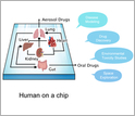 Biomanufacturing platform to create a 